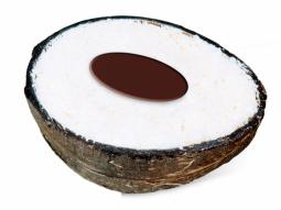Kokosnuss Glace